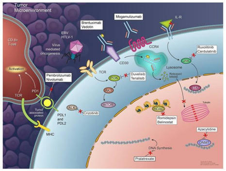 Cancers | Free Full-Text | Emerging Therapeutic Landscape of Peripheral T-Cell Lymphomas Based on Advances in Biology: Current Status and Future Directions | Hematology | Scoop.it