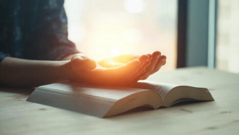 A practical guide to daily prayer from St. Francis de Sales | Christian Spiritual Counseling | Scoop.it