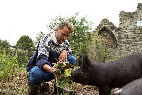 Waging War Against Global Food Waste | ED262 mylineONLINE:  ClassMatters | Scoop.it