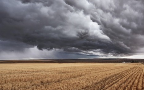 Le changement climatique va r&eacute;duire les rendements agricoles (&eacute;tude), Actualit&eacute;s g&eacute;n&eacute;rales - Pleinchamp | Elevage et environnement | Scoop.it