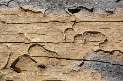 Desert Textures - Thomas Stirr Photography | Mirrorless Cameras | Scoop.it