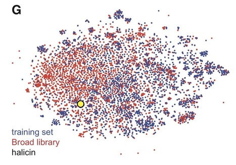 MIT’s deep learning found an antibiotic for a germ nothing else could kill | #Research #Halicin #CoronaVirus | networks and network weaving | Scoop.it