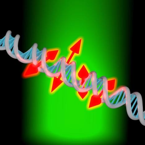 New imaging method reveals nanoscale details about DNA | Amazing Science | Scoop.it