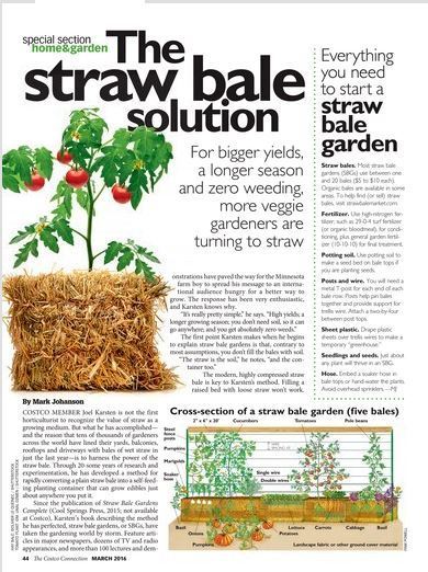 Straw Bale Gardening Scoop It