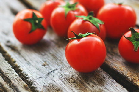 Des tomates génétiquement modifiées pour booster les niveaux de vitamine D - Science post | Pour innover en agriculture | Scoop.it