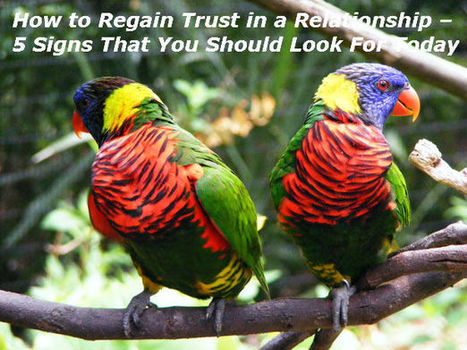 How to Regain Trust in a Relationship – Is He Showing the Right Signs That You Can Trust Him Again? | How To Save Marriage | How to Save Your Marriage | Scoop.it