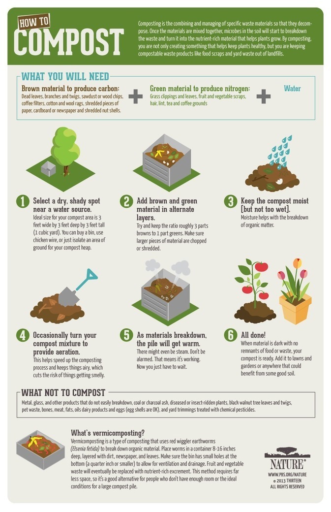 infographic-how-to-compost-bioplastic-sco