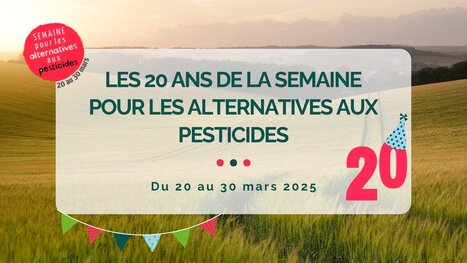 Du 20 au 30 mars 2025 | Variétés entomologiques | Scoop.it