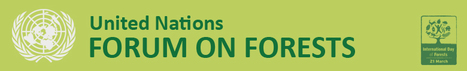 4-15 May: 11th Session of the United Nations Forum on Forests (UNFF11) | Global Public Goods and Bads, Culture, Social Policy, Population and Migration, NGO's, NonProfit | Scoop.it