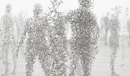 L'humanit&eacute; r&eacute;ussira-t-elle sa m&eacute;tamorphose ? | Economie Responsable et Consommation Collaborative | Scoop.it