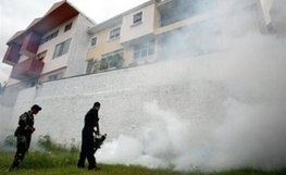 Cas de dengue à Toulouse: «C’est assez fréquent sur la région» | Toulouse La Ville Rose | Scoop.it