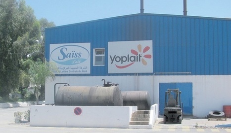 Maroc : La société laitière Saïss Lait, franchisée Yoplait, est en crise | Lait de Normandie... et d'ailleurs | Scoop.it