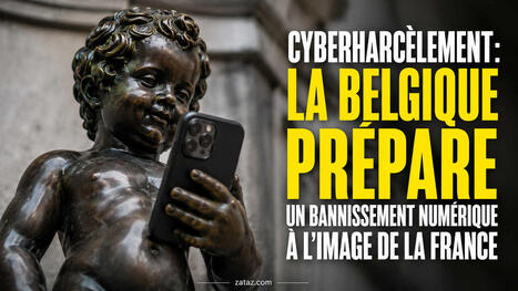 Cyberharc&egrave;lement : la Belgique pr&eacute;pare un bannissement num&eacute;rique &ndash; | Gestion de la relation usagers | Scoop.it