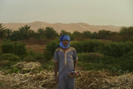 Entre dunes et montagne de Mauritanie, l'oasis de Maaden, utopie fraternelle | Les déserts dans le monde | Scoop.it