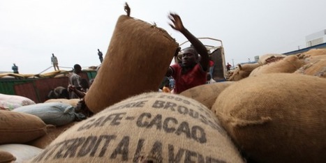 Côte d'ivoire : les opérateurs du Cacao tirent à boulet rouge sur le régulateur | AFRIQUES | Scoop.it