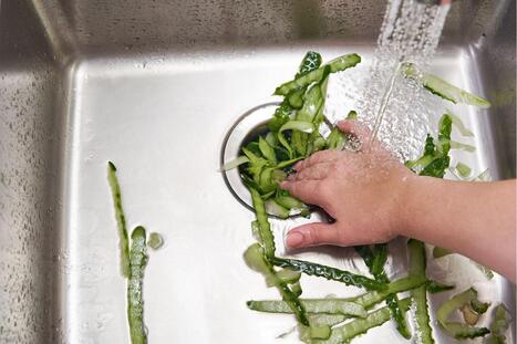 10 Things to Never Put in a Garbage Disposal | Industry 411 - Waste Management | Scoop.it