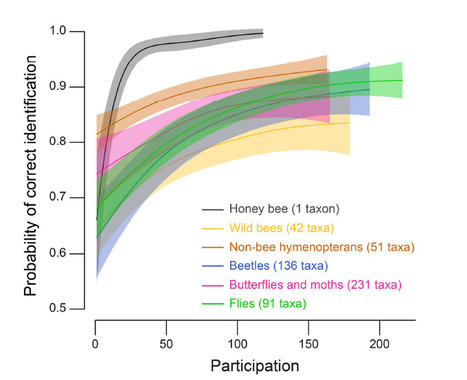 L'apport de connaissance est une une étape essentielle à la meilleure protection de ces insectes en danger que sont les pollinisateurs | EntomoNews | Scoop.it