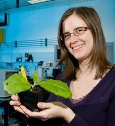 Dr Anne Osterrieder: Expert advice for plant science communication | Plant Sciences | Scoop.it