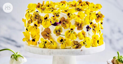 Kakku ja p&auml;&auml;ruoka p&auml;&auml;si&auml;iseen | HS.fi | 1Uutiset - Lukemisen t&auml;hden | Scoop.it