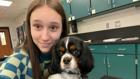 Cómo un perro ayudó a estudiante a volver a la escuela tras tiroteo | PERIÓDICOS Y NOTICIAS | Scoop.it