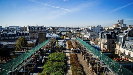 Paris, ville comestible? | Economie Responsable et Consommation Collaborative | Scoop.it