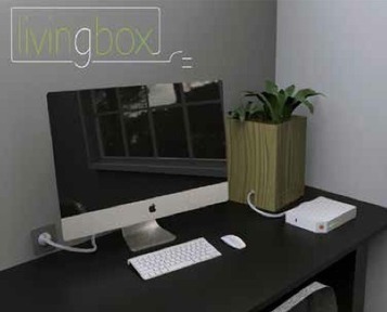 La plante verte qui alimente votre box Internet | KILUVU | Scoop.it