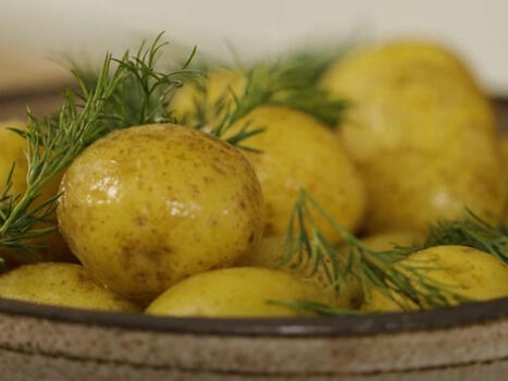 Koka färskpotatis –  tips för den perfekta potatisen | 1Uutiset - Lukemisen tähden | Scoop.it