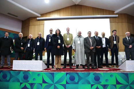 MAROC : 5 fa&ccedil;ons dont le nouveau Centre Technique des Ol&eacute;agineux de Mekn&egrave;s va transformer la production agricole | CIHEAM Press Review | Scoop.it