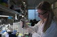 Mysteries of human DNA unlocked | Genetic Engineering in the Press by GEG | Scoop.it