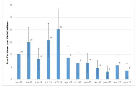 Punaises de lit : plus de 70 000 consultations en un an en France métropolitaine | EntomoNews | Scoop.it