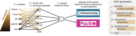 Nanopore sequencing reaches amplicon sequence variant (ASV) resolution | brvt | RMH | Scoop.it