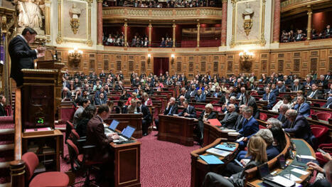 Comment va se dérouler l’examen du budget 2025 au Sénat ? | Veille juridique du CDG13 | Scoop.it