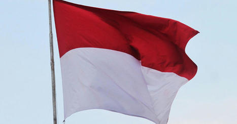 LDC set to expand Indonesian plant to add glycerine refining | CORPS GRAS | Scoop.it