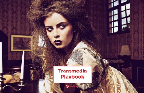 Transmedia Playbook from Transmedia Storyteller | Transmedia: Storytelling for the Digital Age | Scoop.it