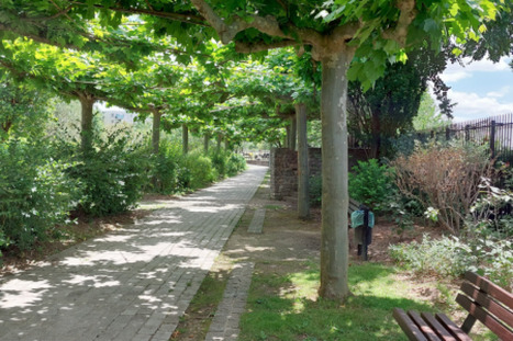 Compensations carbone et biodiversité dans les territoires : comment agir en tant que collectivité locale ? | ZAN - Zéro artificialisation nette | Scoop.it