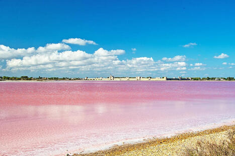 Que voir en Occitanie : 20 visites originales | Ma douce France | Scoop.it
