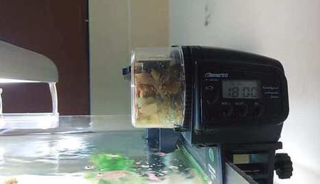 Fluval Fx4 Review Fluval Canister Filter Aq