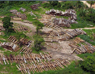 Amazonía peruana en riesgo de quedar en manos de empresas multinacionales – RT | MOVUS | Scoop.it