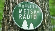 Metsäradio. | 1Uutiset - Lukemisen tähden | Scoop.it
