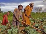 Le programme pour le développement de l’agriculture africaine est-il mal parti ? | Questions de développement ... | Scoop.it