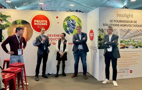 Photosol, Fruits Rouges & Co et Insolight annoncent un partenariat pour développer la filière fruits rouges en France | rev3 - la 3ème révolution industrielle en Hauts-de-France | Scoop.it