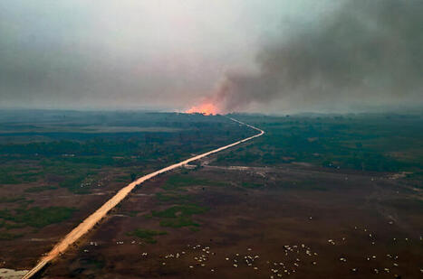 Brésil : incendies record dans la plus grande zone humide de la planète | RSE et Développement Durable | Scoop.it