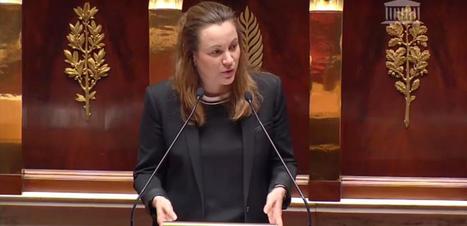 Loi Numérique : tous les décrets sous six mois, une première consultation en ligne | Regards croisés sur la transition écologique | Scoop.it
