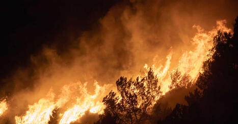 Risque d'incendie dans les villes: le CNRS publie ses recommandations | Plan&egrave;te DDurable | Scoop.it