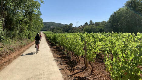 À Saint-Chinian, la route des vins de l'Hérault se prend désormais à vélo | Gastronomie - Oenotourisme en Languedoc | Scoop.it
