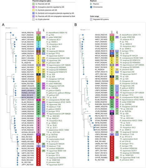 Diversity and evolution of quorum-sensing systems in Rhizobium | Plant-Microbe Symbiosis | Scoop.it