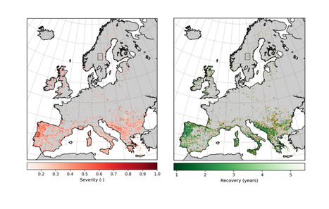 S&eacute;v&eacute;rit&eacute; des incendies et r&eacute;g&eacute;n&eacute;ration &agrave; travers l&rsquo;Europe | T&eacute;l&eacute;d&eacute;tection veille IST INRAE & AgroParisTech | Scoop.it