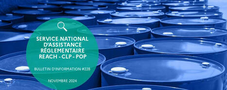 Lettre d&rsquo;information n&deg;&nbsp;228 de novembre 2024 du Helpdesk REACH-CLP-POP | Ineris | Pr&eacute;vention du risque chimique | Scoop.it