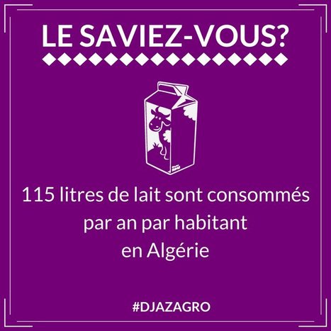 L'Algérie est le premier consommateur laitier du Maghreb | Lait de Normandie... et d'ailleurs | Scoop.it