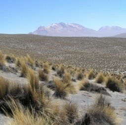 Biodiversity offers a vital climate change buffer | BIODIVERSITY IS LIFE  &ndash; | Scoop.it
